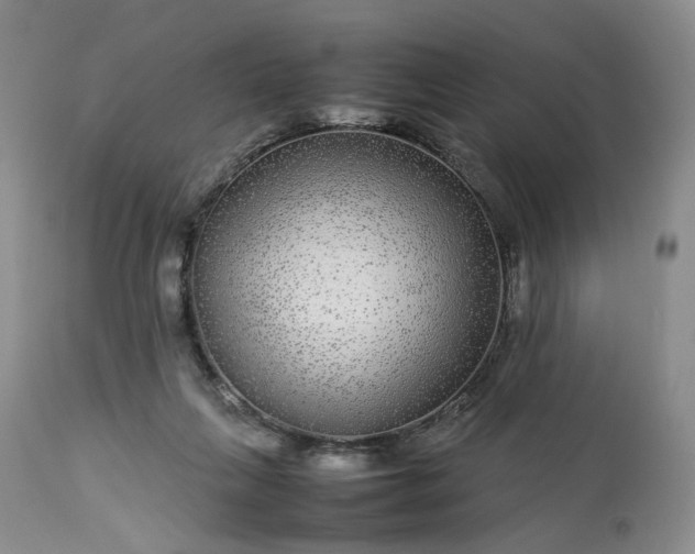 X0000113560263200910021602