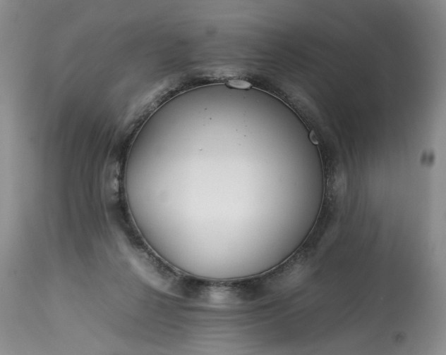 X0000113560264200910021602