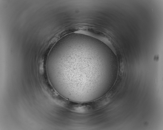 X0000113560267200910021602