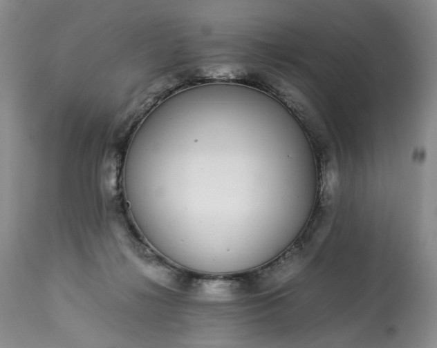 X0000113560268200910021602