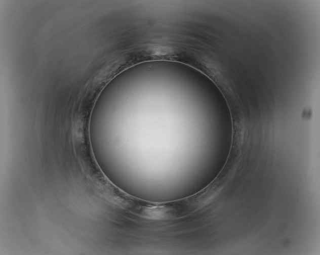 X0000113560269200910021602