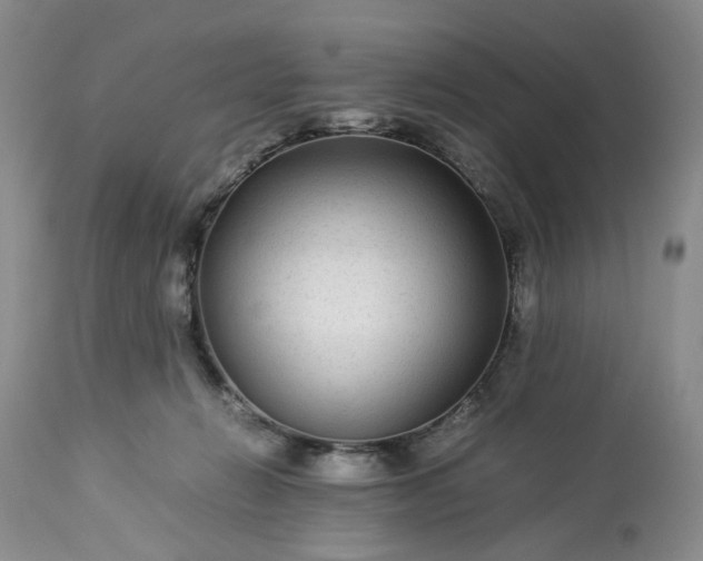 X0000113560270200910021602