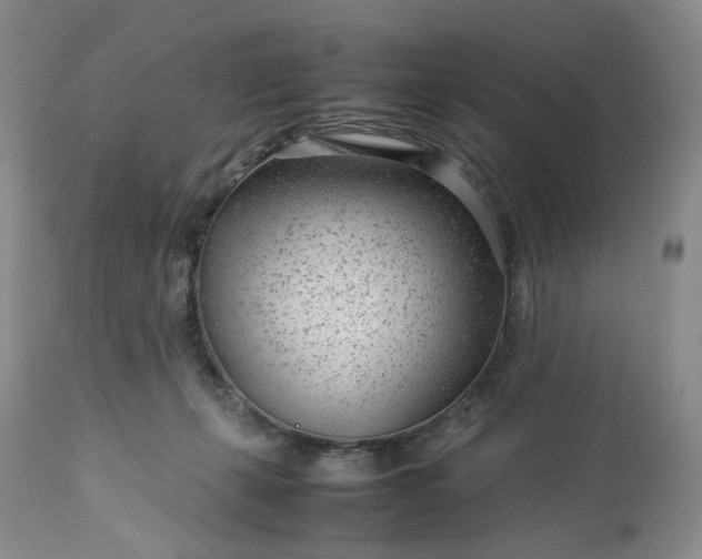 X0000113560271200910021602