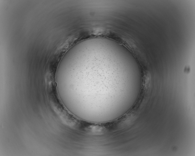 X0000113560272200910021602