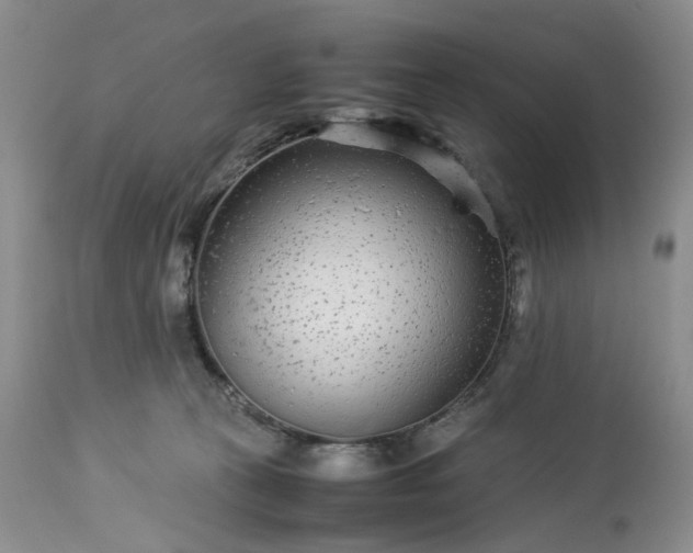 X0000113560273200910021602