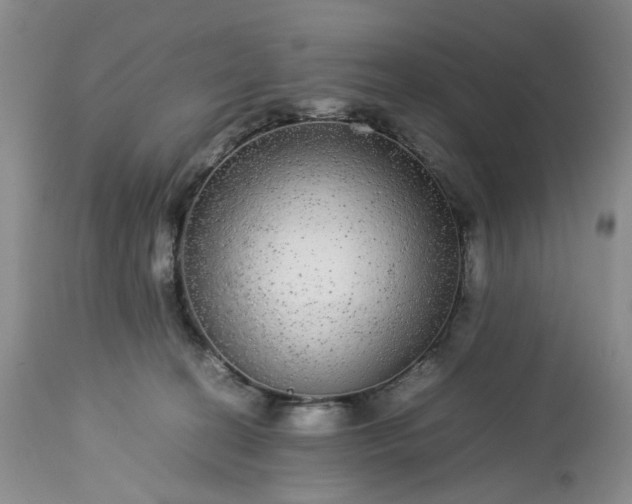 X0000113560274200910021602