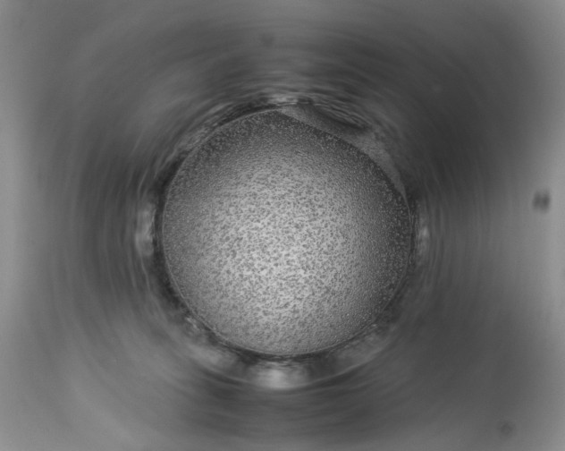 X0000113560275200910021602