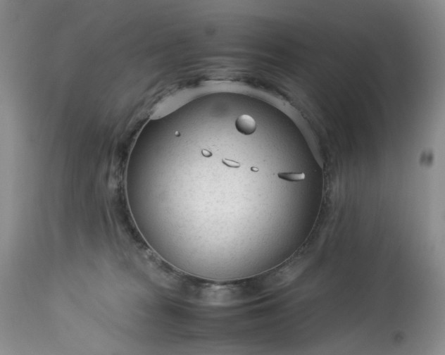 X0000113560277200910021602