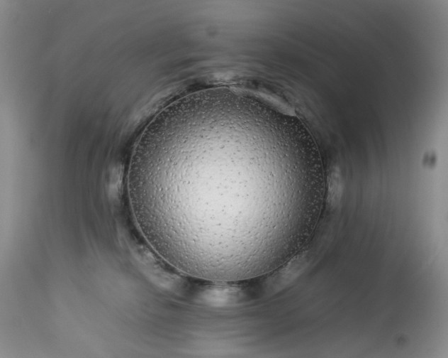 X0000113560278200910021602