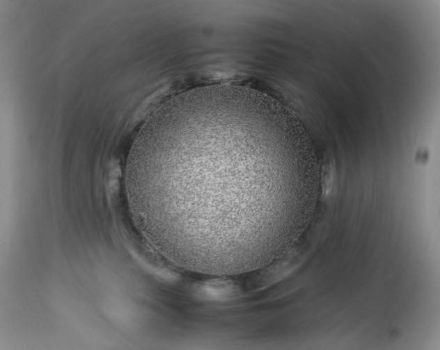 X0000113560279200910021602
