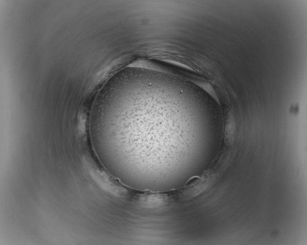 X0000113560282200910021602