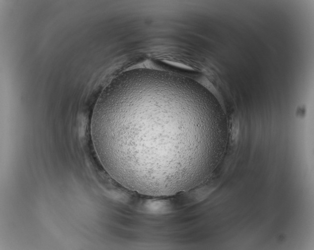 X0000113560283200910021602