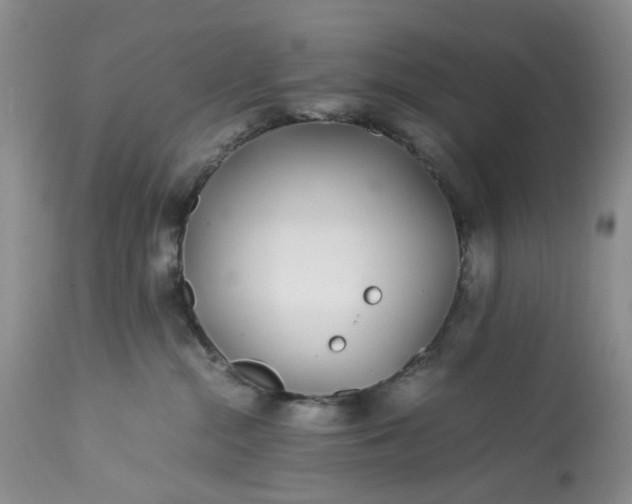 X0000113560284200910021602
