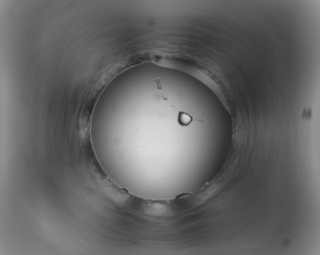 X0000113560285200910021602