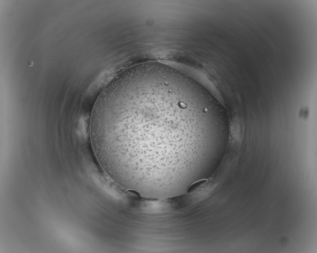 X0000113560286200910021602