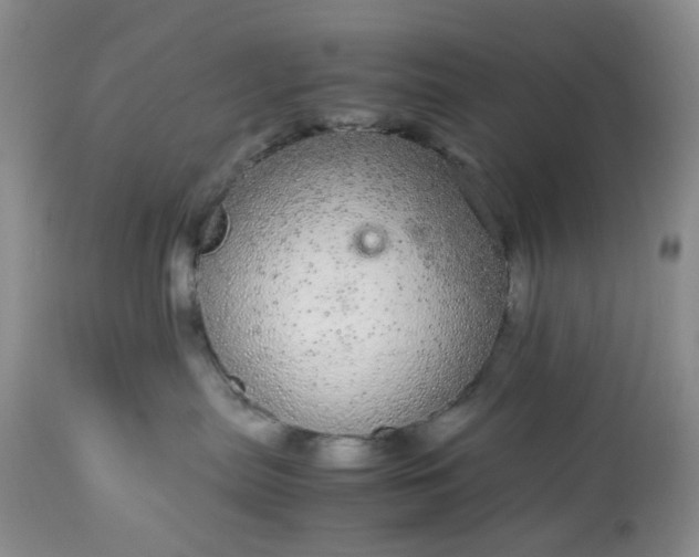 X0000113560287200910021602