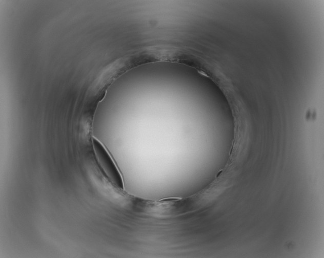 X0000113560288200910021602