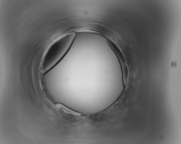 X0000113560289200910021601