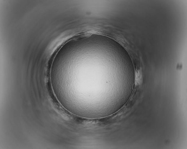 X0000113560291200910021601