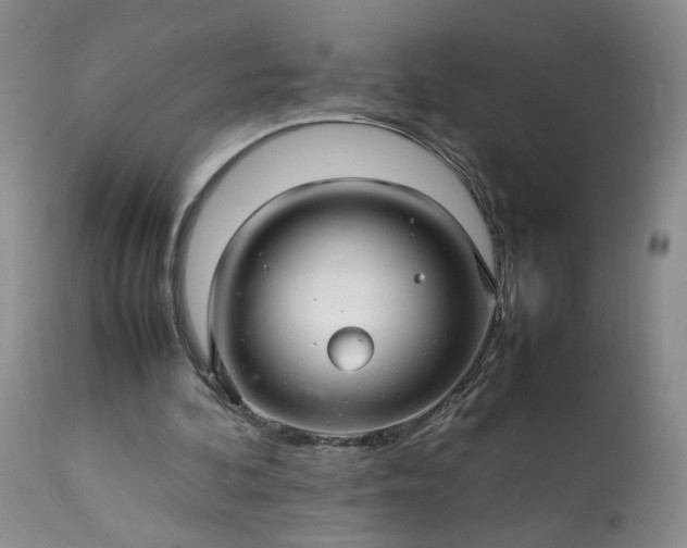 X0000113560292200910021601