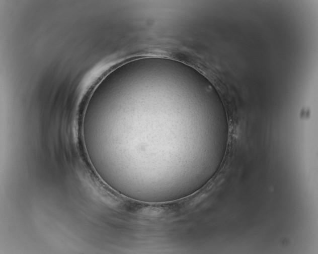 X0000113560294200910021601