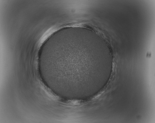X0000113560295200910021601