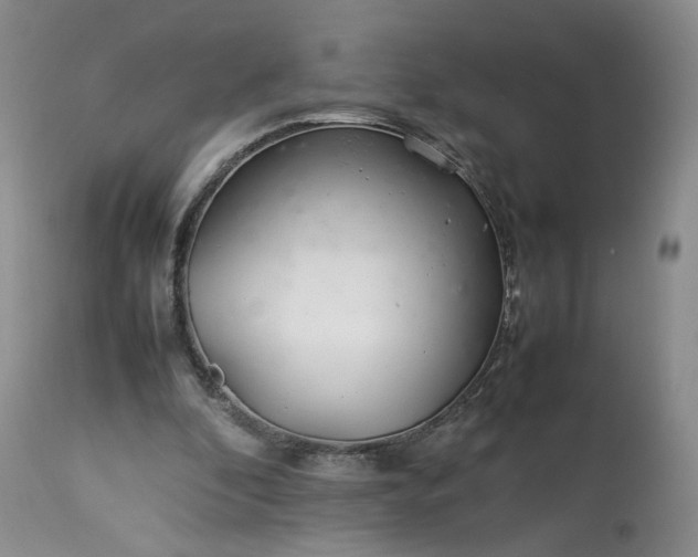 X0000113560296200910021601