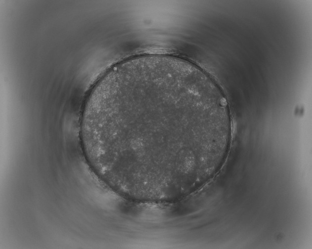 X0000113560297200910021601