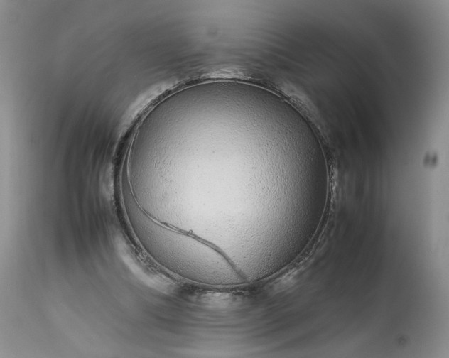 X0000113560298200910021601