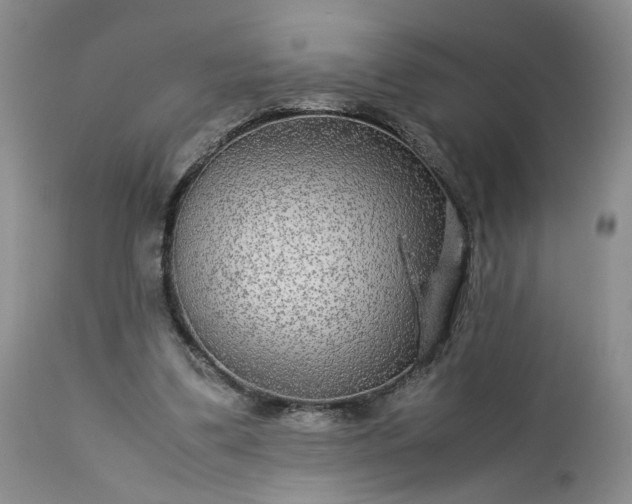 X0000113560299200910021601