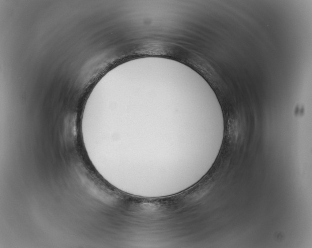 X0000113560302200910021601
