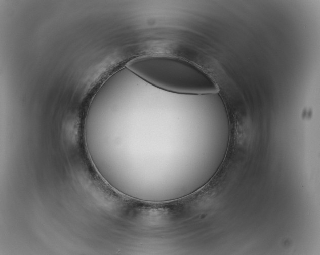 X0000113560304200910021601