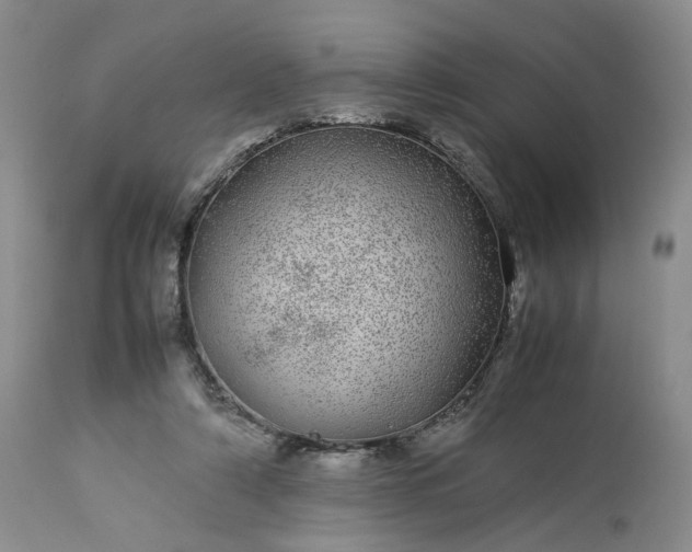 X0000113560306200910021601