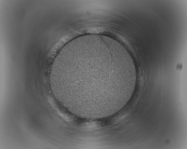 X0000113560307200910021601