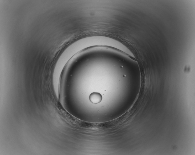 X0000113560308200910021601