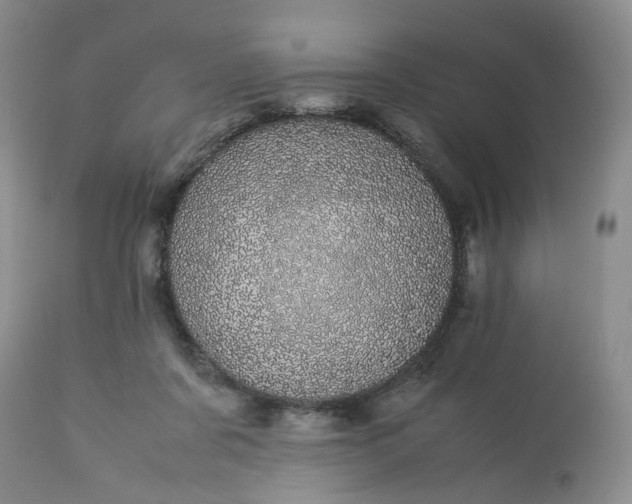 X0000113560311200910021601