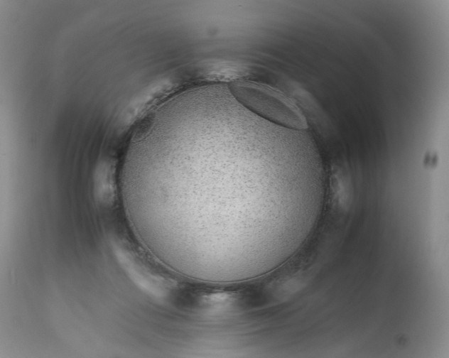 X0000113560312200910021601