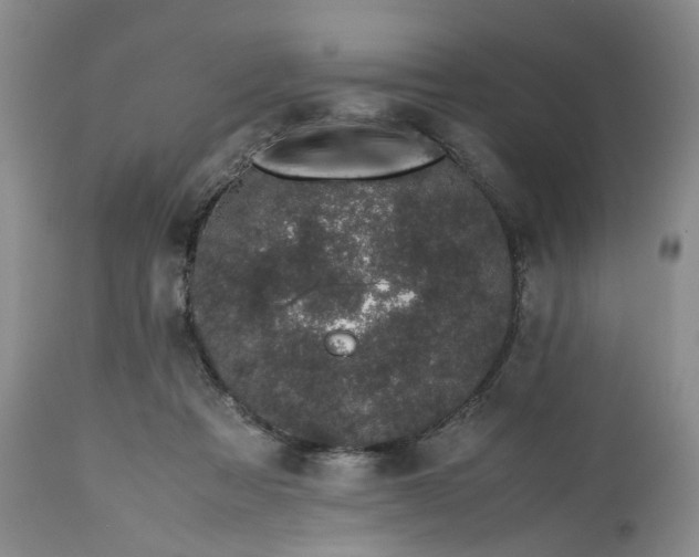 X0000113560313200910021601
