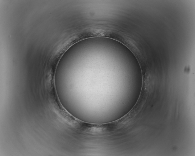 X0000113560314200910021601