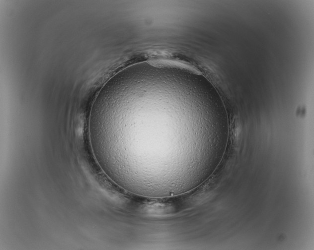 X0000113560315200910021601