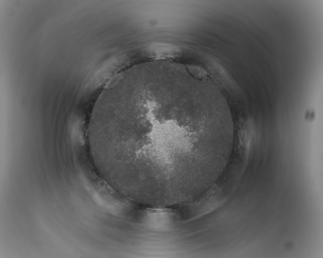 X0000113560316200910021601