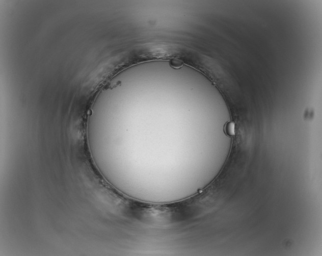 X0000113560317200910021601