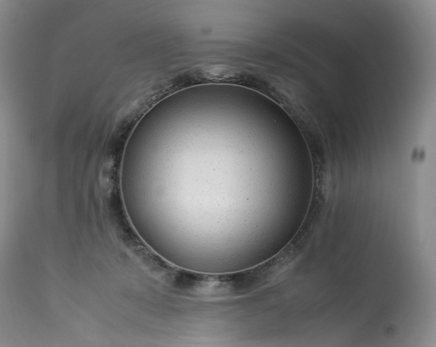 X0000113560319200910021601