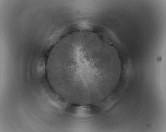 X0000113560320200910021601
