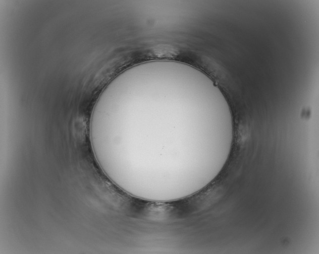 X0000113560321200910021601