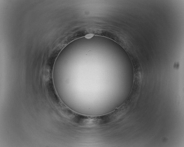 X0000113560323200910021601