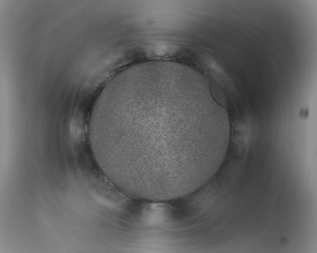 X0000113560324200910021601