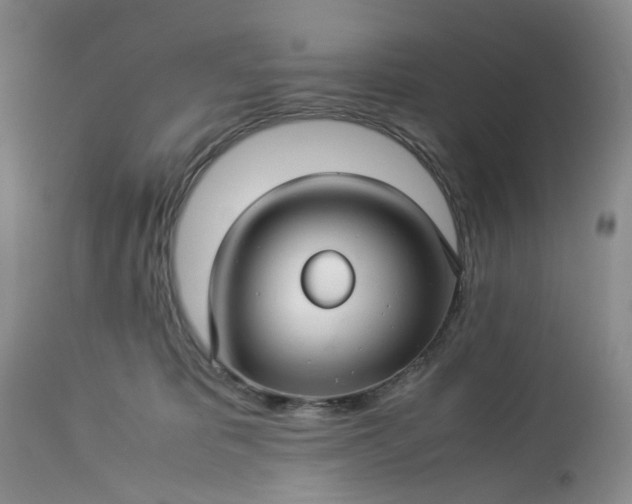 X0000113560325200910021601