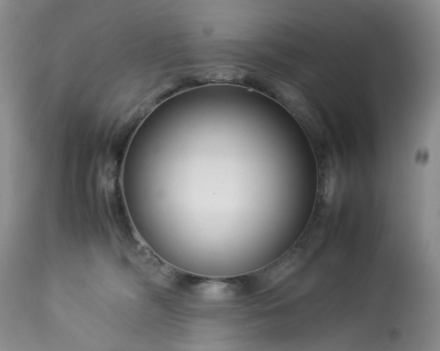 X0000113560326200910021601
