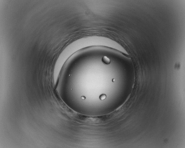 X0000113560328200910021601
